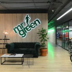 Mr Green