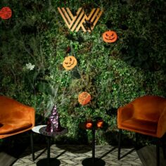 two armchairs with the WIS logo in the background with Halloween decorations
