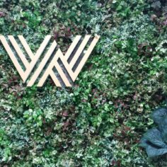WIS green wall